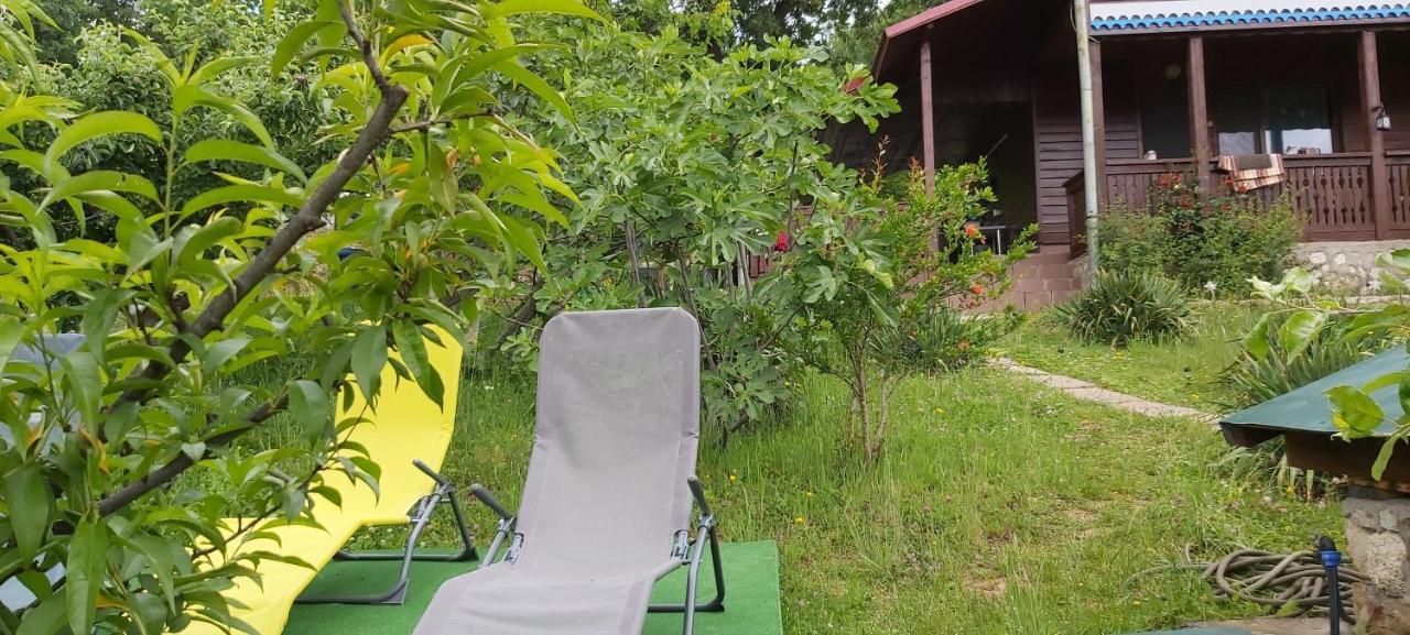 Villa Casa Melania Ieşelniţa Exterior foto